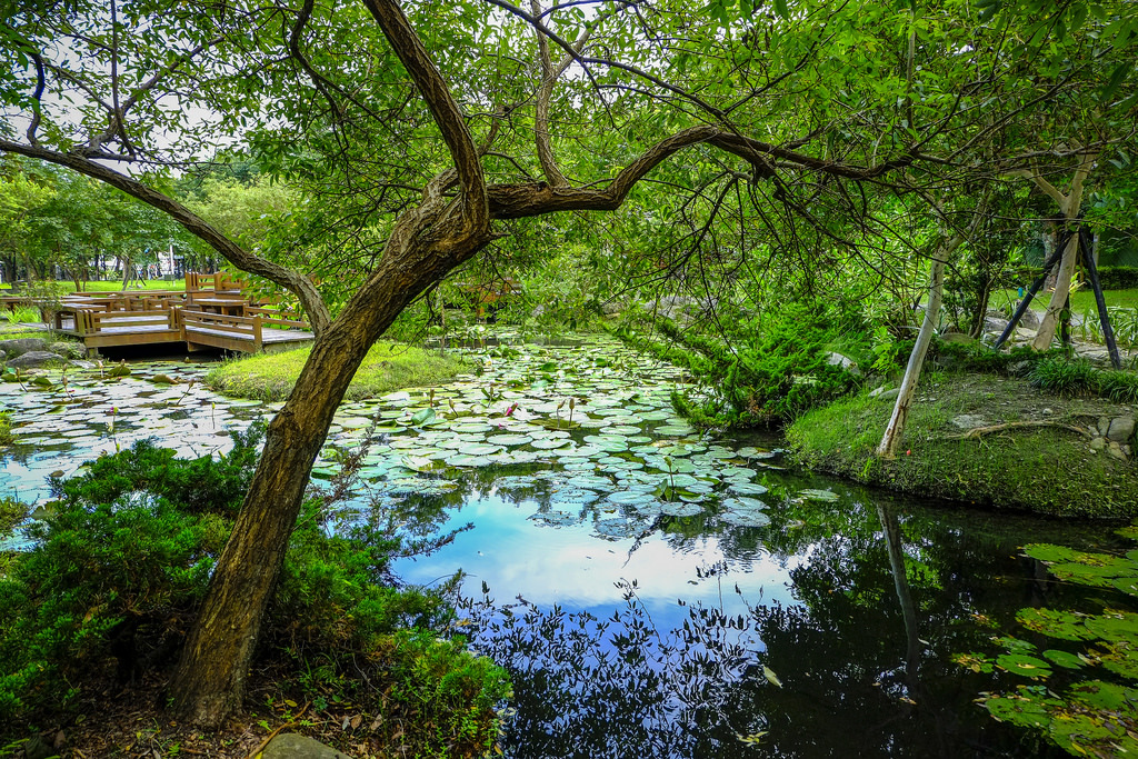 靜思堂水池